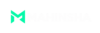mahinsha.com